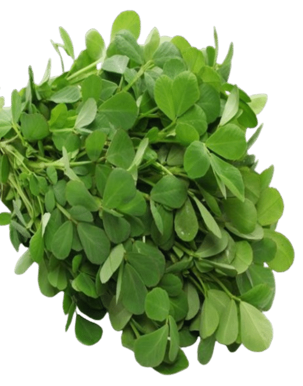 NDH Kasoori Methi - Image 2